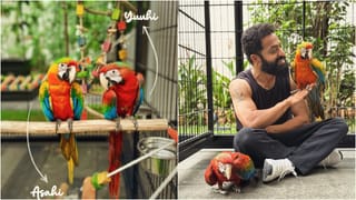 ಜನ್ಮದಿನದಂದೇ ಜೂನಿಯರ್​​ ಎನ್​​ಟಿಆರ್​ ಗುಡ್​ ನ್ಯೂಸ್​; ಮನೆಗೆ ಬಂದ ಹೊಸ ಅತಿಥಿಗಳು