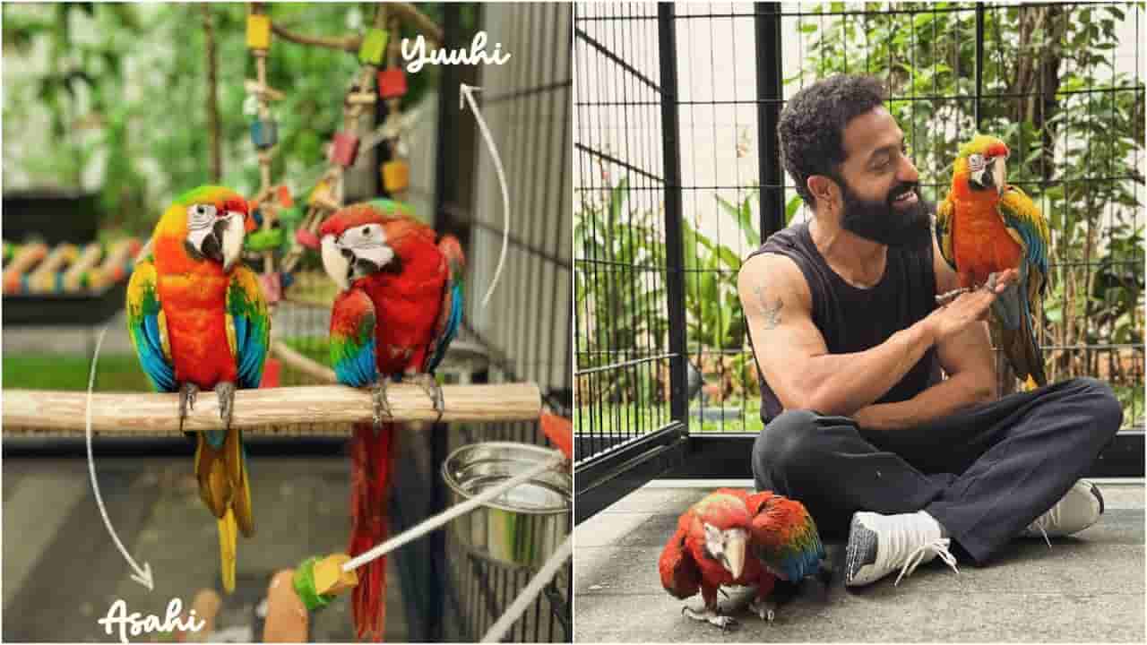 ಜನ್ಮದಿನದಂದೇ ಜೂನಿಯರ್ ಎನ್ಟಿಆರ್ ಗುಡ್ ನ್ಯೂಸ್; ಮನೆಗೆ ಬಂದ ಹೊಸ ಅತಿಥಿಗಳು