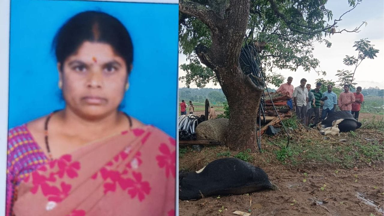 Two people died due to lightning in Mysuru and Ballari districts, Karnataka.