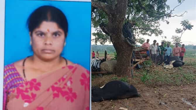 ರಾಜ್ಯದಲ್ಲಿ ವರುಣನ ರೌದ್ರಾವತಾರಕ್ಕೆ ಇಬ್ಬರು ಬಲಿ