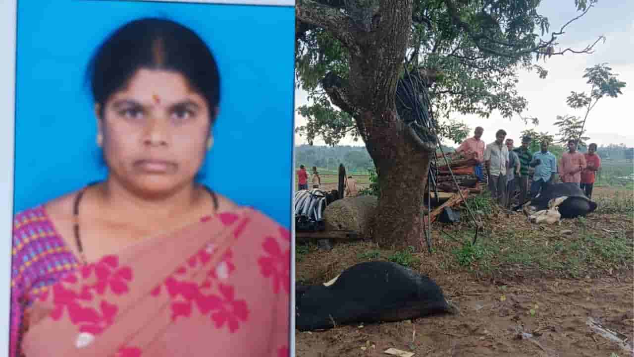ರಾಜ್ಯದಲ್ಲಿ ವರುಣನ ರೌದ್ರಾವತಾರಕ್ಕೆ ಇಬ್ಬರು ಬಲಿ: ಮೈಸೂರಲ್ಲಿ ರೈತ ಮಹಿಳೆ, ಬಳ್ಳಾರಿಯಲ್ಲಿ ಯುವಕ ಸಿಡಿಲಿಗೆ ಸಾವು!