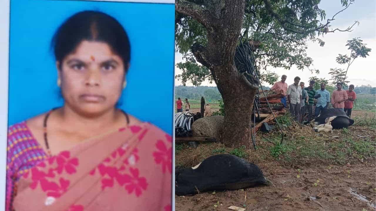 ರಾಜ್ಯದಲ್ಲಿ ವರುಣನ ರೌದ್ರಾವತಾರಕ್ಕೆ ಇಬ್ಬರು ಬಲಿ: ಮೈಸೂರಲ್ಲಿ ರೈತ ಮಹಿಳೆ, ಬಳ್ಳಾರಿಯಲ್ಲಿ ಯುವಕ ಸಿಡಿಲಿಗೆ ಸಾವು!