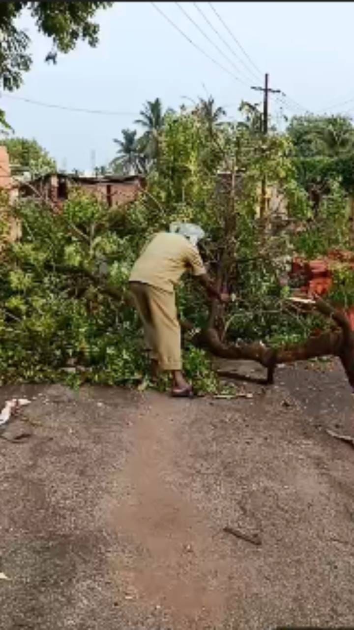 ಗಾಳಿ ಸಹಿತ ಭಾರೀ ಮಳೆ: ಮನೆ ಮೇಲೆ ಬಿದ್ದ ಮರ