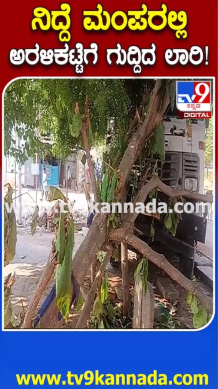 ಲಾರಿ ಚಾಲಕನ ಎಡವಟ್ಟು: ನಿದ್ದೆ ಮಂಪರಿನಲ್ಲಿ ಅರಳಿಕಟ್ಟೆಗೆ ಡಿಕ್ಕಿ
