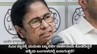 ಪ್ರಯಾಣಿಕರ ಪವರ್ ಬ್ಯಾಂಕ್​ನಿಂದ ಬೆಂಕಿ; ಇಂಡಿಗೋ ವಿಮಾನದಲ್ಲಿ ತಪ್ಪಿದ ಭಾರೀ ದುರಂತ