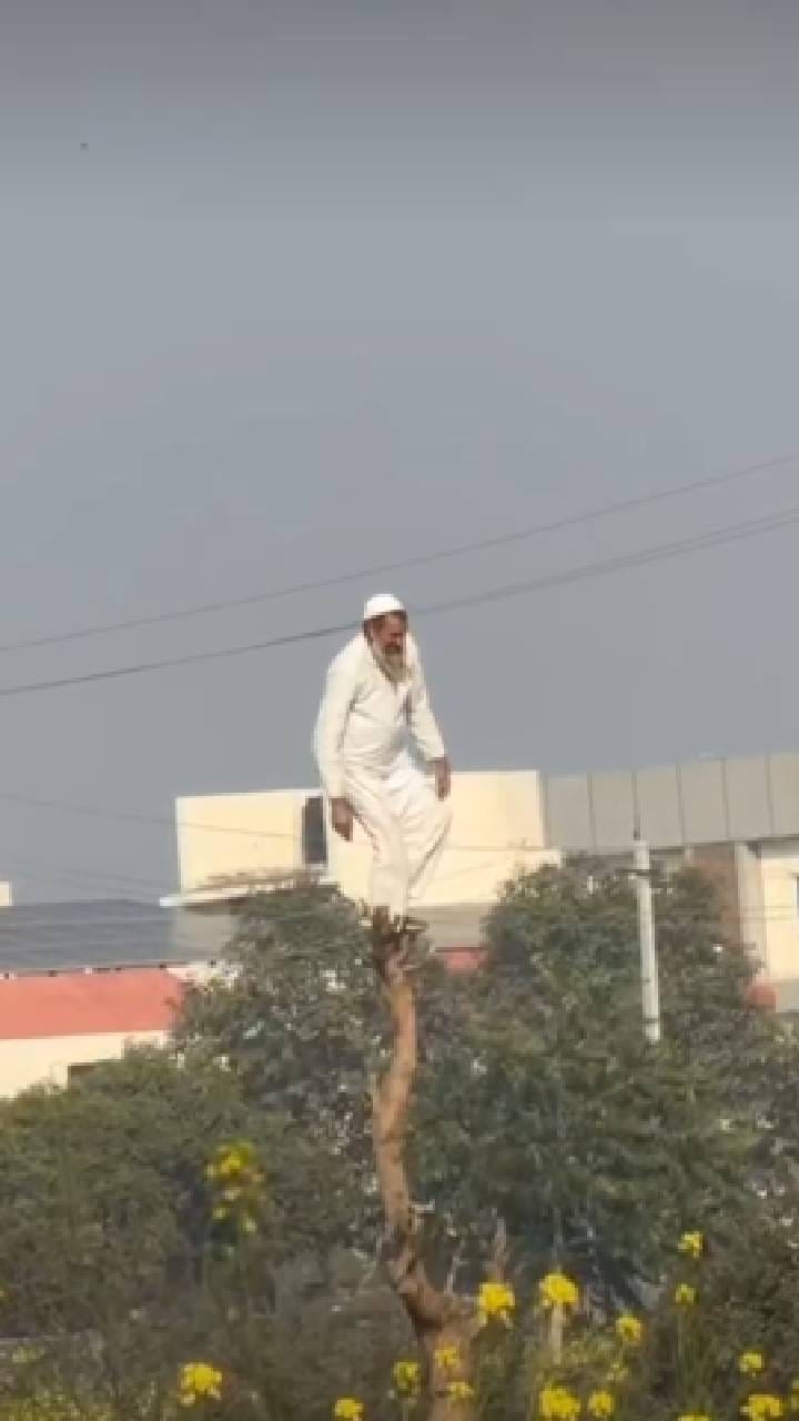 ಮರದ ತುದಿಗೆ ಹತ್ತಿ ರೀಲ್ಸ್​​ ಮಾಡಲು ಹೋಗಿ, ಆಗಿದ್ದೇನು ನೋಡಿ