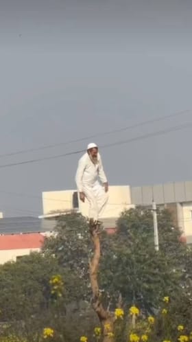 ಮರದ ತುದಿಗೆ ಹತ್ತಿ ರೀಲ್ಸ್​​ ಮಾಡಲು ಹೋಗಿ, ಆಗಿದ್ದೇನು ನೋಡಿ