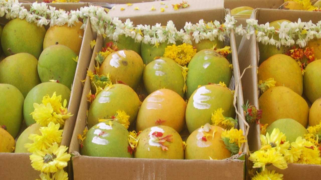 ಧಾರವಾಡದ ಗಾಂಧಿ ಭವನದಲ್ಲಿ ನಡೆಯುತ್ತಿರುವ ಈ ಅಭಿಯಾನದಲ್ಲಿ ಗ್ರಾಹಕರಿಗೆ ವಿವಿಧ ತಳಿಯ ಮಾವಿನ ಹಣ್ಣುಗಳು ಲಭ್ಯವಿವೆ. ಪ್ರಸಿದ್ಧ ಆಪೋಸಾ (ಅಲ್ಫಾನ್ಸೋ) ಸೇರಿದಂತೆ ಹಲವು ಬಗೆಯ ಹಣ್ಣುಗಳನ್ನು ಒಂದೇ ಕಡೆ ಮಾರಾಟ ಮಾಡಲಾಗುತ್ತಿದೆ. ಇದು ಗ್ರಾಹಕರಿಗೆ ಮಾರುಕಟ್ಟೆಯಲ್ಲಿ ಅಲೆದಾಡುವ ಶ್ರಮವನ್ನು ತಪ್ಪಿಸಿ, ಒಂದೇ ಸ್ಥಳದಲ್ಲಿ ಗುಣಮಟ್ಟದ ಹಣ್ಣುಗಳನ್ನು ಆಯ್ಕೆ ಮಾಡಲು ಅನುವು ಮಾಡಿಕೊಟ್ಟಿದೆ.
