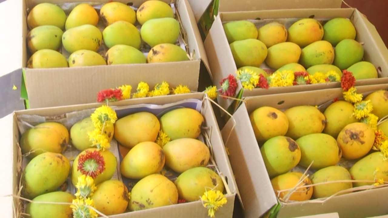ಈ ಬಾರಿ ರೈತರು ಹವಾಮಾನ ವೈಪರೀತ್ಯ ಮತ್ತು ಆಲಿಕಲ್ಲು ಮಳೆಯಿಂದಾಗಿ ಸಾಕಷ್ಟು ಇಳುವರಿ ನಷ್ಟ ಅನುಭವಿಸಿದ್ದಾರೆ. ಮಾವಿನ ಮರಗಳ ನಿರ್ವಹಣೆಗೆ ಎಕರೆಗೆ ಸುಮಾರು 30 ಸಾವಿರ ರೂಪಾಯಿ ಖರ್ಚು ಮಾಡಿರುತ್ತಾರೆ. ಇಂತಹ ಕಷ್ಟದ ಸಮಯದಲ್ಲಿ ದಲ್ಲಾಳಿಗಳ ಕೈಗೆ ಸಿಲುಕಿ ನಷ್ಟ ಅನುಭವಿಸಬಾರದೆಂಬ ಕಾರಣಕ್ಕೆ ಈ ನೇರ ಮಾರಾಟ ವ್ಯವಸ್ಥೆ ರೈತರಿಗೆ ಆರ್ಥಿಕ ರಕ್ಷಾಕವಚದಂತೆ ಕೆಲಸ ಮಾಡುತ್ತಿದೆ.

