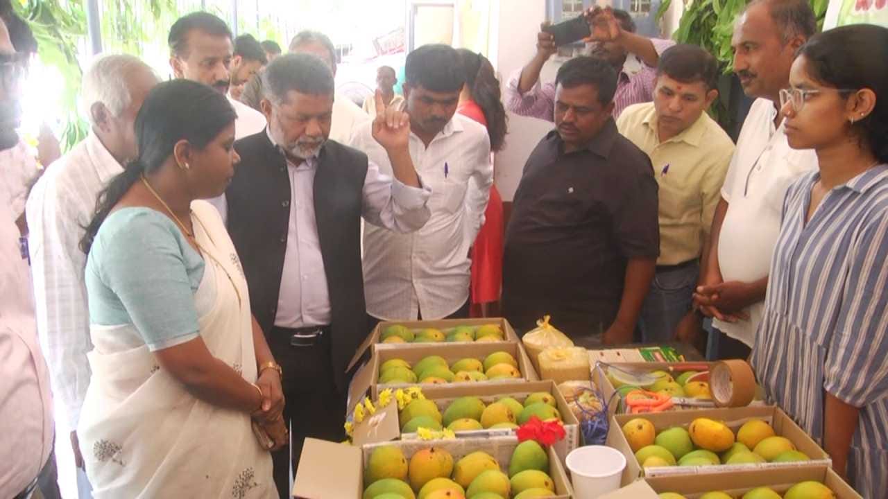 ಈ ಮಾರಾಟ ಮೇಳದ ವಿಶೇಷತೆಯೆಂದರೆ ಇಲ್ಲಿ ಸಿಗುವ ಹಣ್ಣುಗಳು ನೈಸರ್ಗಿಕವಾಗಿ ಮಾಗಿಸಿದವುಗಳಾಗಿವೆ. ಮಾರುಕಟ್ಟೆಯಲ್ಲಿ ಸಿಗುವಂತೆ ಕಾರ್ಬೈಡ್ ಅಥವಾ ವಿಷಕಾರಿ ರಾಸಾಯನಿಕಗಳನ್ನು ಬಳಸಿ ಹಣ್ಣು ಮಾಡಿಲ್ಲ. ರೈತರು ತಾವು ಬೆಳೆದ ಹೊಲದ ಹಣ್ಣುಗಳ ರುಚಿಯನ್ನು ಸ್ಥಳದಲ್ಲಿಯೇ ಗ್ರಾಹಕರಿಗೆ ನೀಡುತ್ತಿರುವುದು ವಿಶೇಷ. ಇದು ಗ್ರಾಹಕರಲ್ಲಿ ಹಣ್ಣಿನ ಗುಣಮಟ್ಟದ ಬಗ್ಗೆ ನಂಬಿಕೆ ಮತ್ತು ಆರೋಗ್ಯದ ಭರವಸೆ ಮೂಡಿಸಿದೆ.
