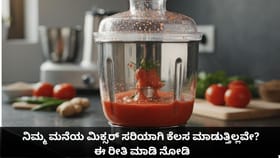ನಿಮ್ಮ ಮನೆಯ ಮಿಕ್ಸರ್ ಸರಿಯಾಗಿ ಕೆಲಸ ಮಾಡುತ್ತಿಲ್ಲವೇ? ಈ ರೀತಿ ಮಾಡಿ ನೋಡಿ