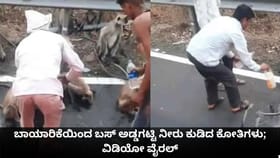 ಬಾಯಾರಿಕೆಯಿಂದ ಬಸ್ ಅಡ್ಡಗಟ್ಟಿ ನೀರು ಕುಡಿದ ಕೋತಿಗಳು; ವಿಡಿಯೋ ವೈರಲ್