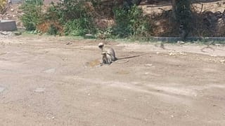 ಕೇರಳ ಸಿಎಂ ಸ್ಥಾನಕ್ಕೆ ತೀವ್ರ ಪೈಪೋಟಿ: ಈ ಮೂವರಲ್ಲೇ ಒಬ್ಬರು ಮುಖ್ಯಮಂತ್ರಿ ಆಗೋದು ಪಕ್ಕಾ?