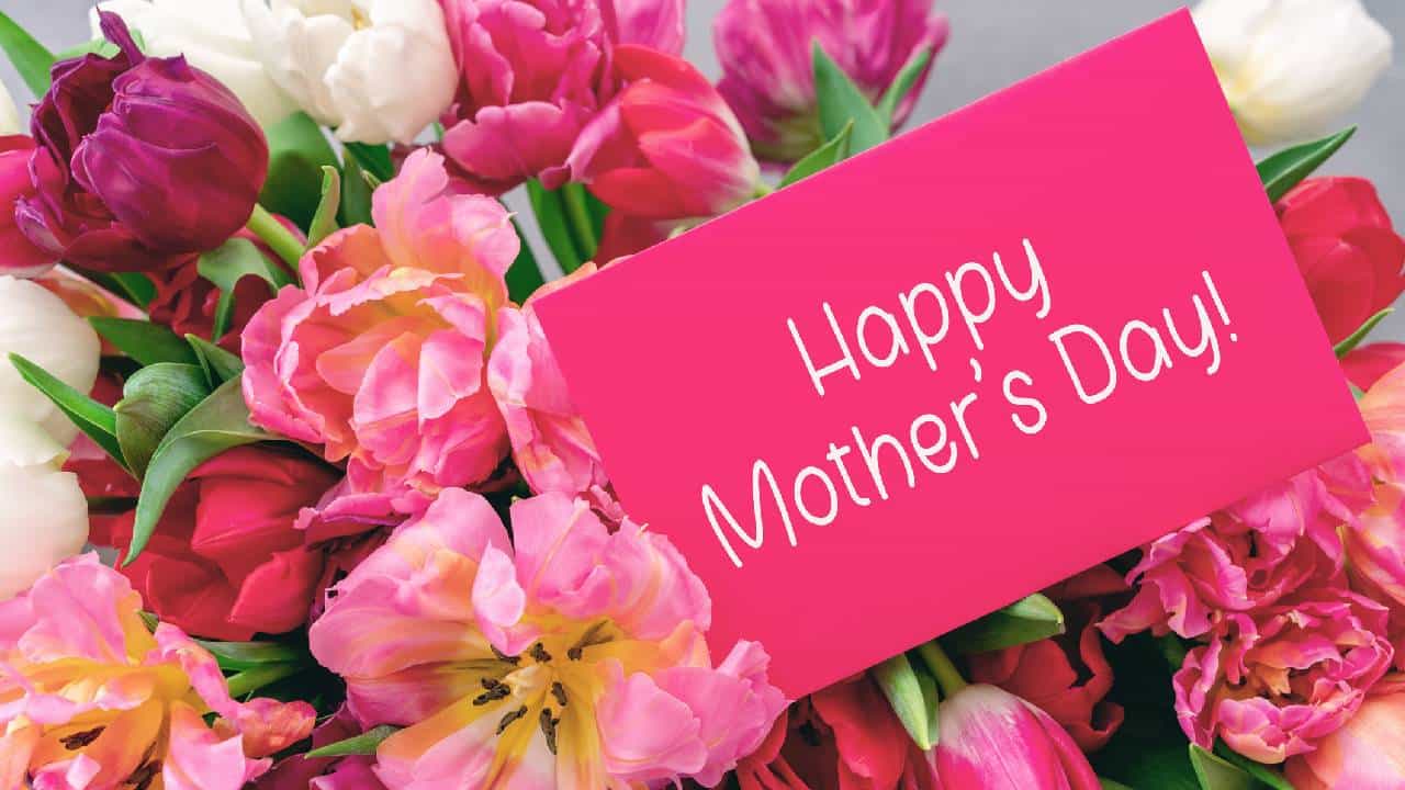 Mother's Day 2026: ತಾಯಂದಿರ ದಿನವನ್ನು ಆಚರಿಸುವ ಸಂಪ್ರದಾಯ ಆರಂಭವಾದದ್ದು ಹೇಗೆ ಗೊತ್ತಾ?