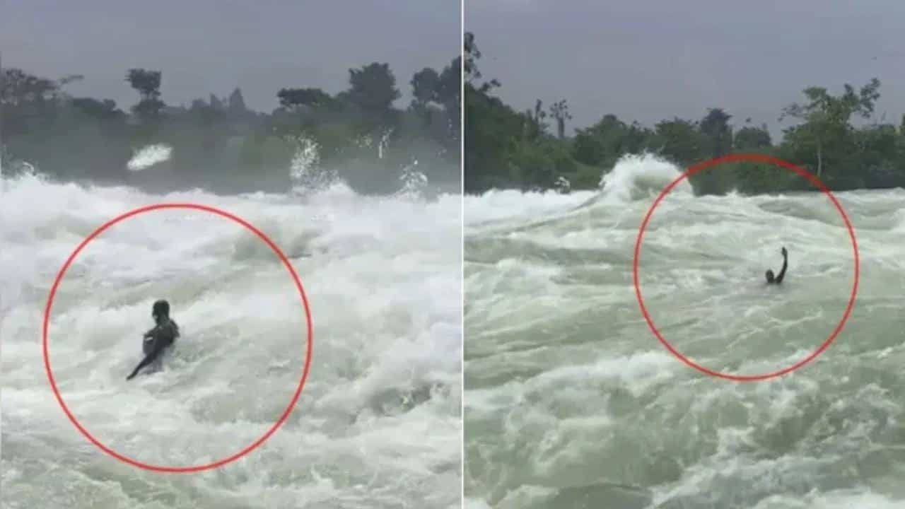 Viral Video: ಸಾವಿನಂತಹ ಅಲೆಗಳ ಮಧ್ಯೆ ನೈಲ್ ನದಿಯಲ್ಲಿ ಈಜುತ್ತಿರುವ ವ್ಯಕ್ತಿಯ ಭಯಾನಕ ವಿಡಿಯೋ ವೈರಲ್