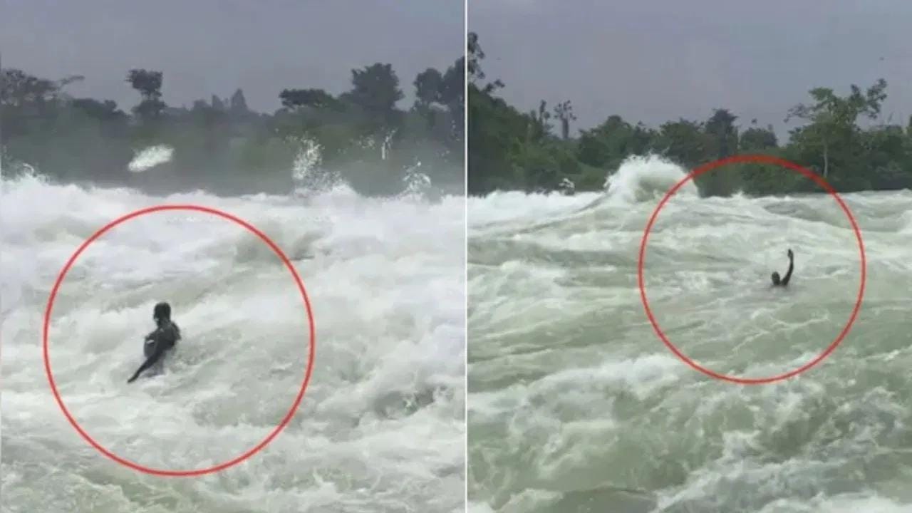 Viral Video: ಸಾವಿನಂತಹ ಅಲೆಗಳ ಮಧ್ಯೆ ನೈಲ್ ನದಿಯಲ್ಲಿ ಈಜುತ್ತಿರುವ ವ್ಯಕ್ತಿಯ ಭಯಾನಕ ವಿಡಿಯೋ ವೈರಲ್ Viral Video: ಸಾವಿನಂತಹ ಅಲೆಗಳ ಮಧ್ಯೆ ನೈಲ್ ನದಿಯಲ್ಲಿ ಈಜುತ್ತಿರುವ ವ್ಯಕ್ತಿಯ ಭಯಾನಕ ವಿಡಿಯೋ ವೈರಲ್