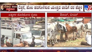Video: ಪಂಚ್ ಕೋತಿ ಇದ್ದ ಮೃಗಾಲಯಕ್ಕೆ ನುಗ್ಗಿದ್ದ ಇಬ್ಬರು ಅಮೆರಿಕನ್ನರ ಬಂಧನ