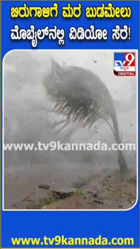 ಬಿರುಗಾಳಿ ಸಮೇತ ಭಾರೀ ಮಳೆ: ನಡುರಸ್ತೆಯಲ್ಲಿ ಬಿದ್ದ ಮರಗಳು
