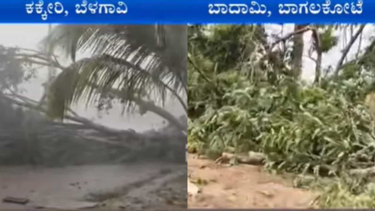 ಬೆಳಗಾವಿಯಲ್ಲಿ ಭಾರಿ ಗಾಳಿ ಮಳೆಗೆ ಧರೆಗುರುಳಿದ ಮರಗಳು: ಸಂಚಾರ ಅಸ್ತವ್ಯಸ್ತ ಬೆಳಗಾವಿಯಲ್ಲಿ ಭಾರಿ ಗಾಳಿ ಮಳೆಗೆ ಧರೆಗುರುಳಿದ ಮರಗಳು: ಸಂಚಾರ ಅಸ್ತವ್ಯಸ್ತ