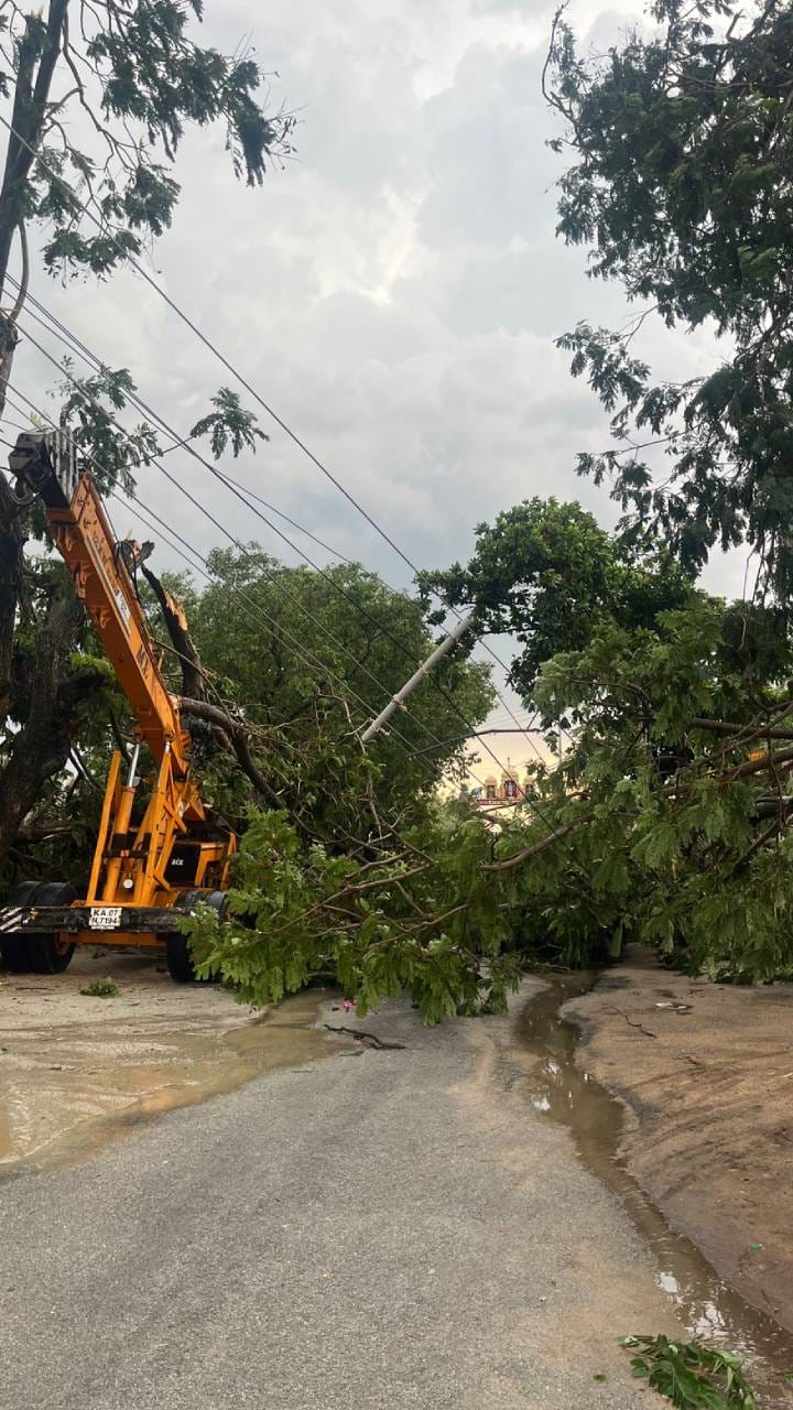 ನೋಡ ನೋಡುತ್ತಿದ್ದಂತೆ ಬಿರುಗಾಳಿ ಮಳೆಗೆ ಮುರಿದುಬಿದ್ದ ಮರ