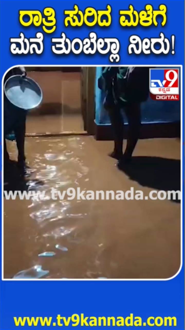 ಮಳೆ ಆರ್ಭಟ: ಮನೆ ತುಂಬಾ ನೀರೋ ನೀರು