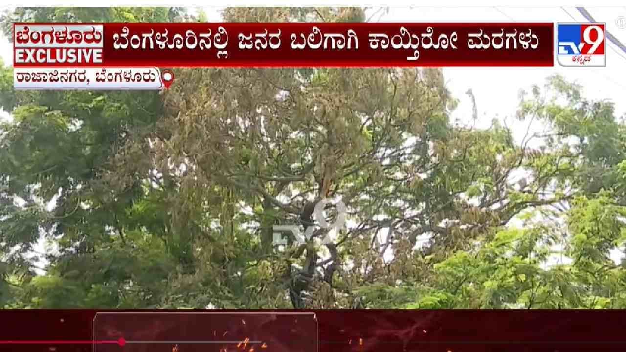 ಸಾರ್ವಜನಿಕರೇ ಬೆಂಗಳೂರಿನ ಈ ರಸ್ತೆಗಳಲ್ಲಿ ಓಡಾಡುವಾಗ ಹುಷಾರ್!