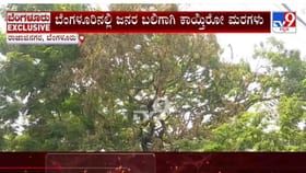 ಸಾರ್ವಜನಿಕರೇ ಬೆಂಗಳೂರಿನ ಈ ರಸ್ತೆಗಳಲ್ಲಿ ಓಡಾಡುವಾಗ ಹುಷಾರ್!
