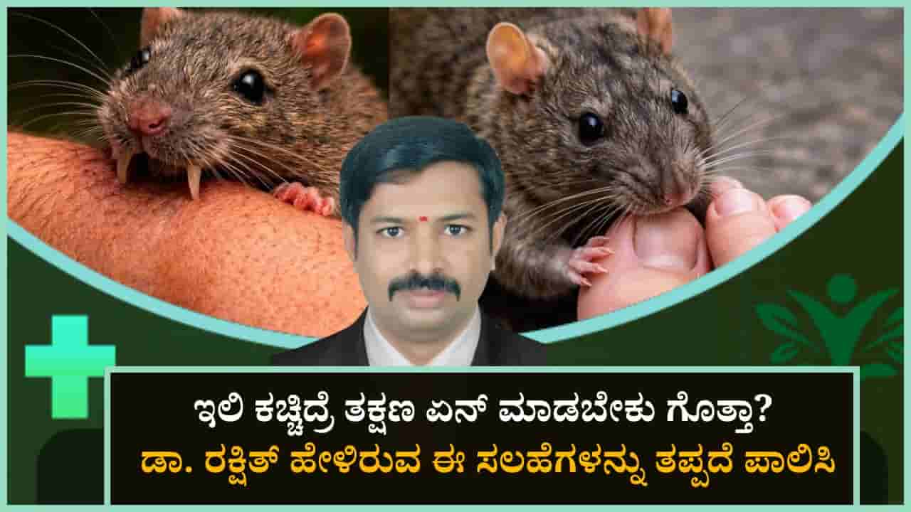 ಇಲಿ ಕಡಿತವನ್ನು ಸಾಮಾನ್ಯ ಎಂದು ಪರಿಗಣಿಸಿ ಪ್ರಾಣಕ್ಕೇ ಅಪಾಯ ತಂದುಕೊಳ್ಳಬೇಡಿ, ತಪ್ಪದೇ ಈ ಮುನ್ನೆಚ್ಚರಿಕಾ ಕ್ರಮ ಅನುಸರಿಸಿ