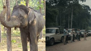 ಪ್ರವಾಸಿಗರಿಗೆ ನಿರಾಸೆ: ತೆರೆದ ಜೀಪ್ ಸಫಾರಿಗೆ ಬ್ರೇಕ್; ಪನ್ಸೋಲಿ ಆನೆ ಬಿಡಾರಕ್ಕೆ ಪ್ರವೇಶ ನಿರ್ಬಂಧ