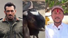 ಅಪರೂಪದ ಮೇಕೆಯನ್ನು ಸಲ್ಮಾನ್ ಖಾನ್​ಗೆ ಮಾರುವಾಸೆ, ಎಷ್ಟು ಲಕ್ಷ ಗೊತ್ತೆ?