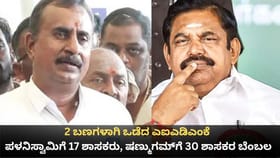 ಎಐಎಡಿಎಂಕೆಯಲ್ಲಿ ಪಳನಿಸ್ವಾಮಿಗೆ 17 ಶಾಸಕರು, ವೇಲುಮಣಿ​ಗೆ 30 ಶಾಸಕರ ಬೆಂಬಲ