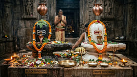 ಮನೆಗೆ ಯಾವ ಬಣ್ಣದ ಶಿವಲಿಂಗ ಶ್ರೇಷ್ಠ? ತಪ್ಪದೇ ಈ ವಾಸ್ತು ನಿಯಮ ತಿಳಿಯಿರಿ