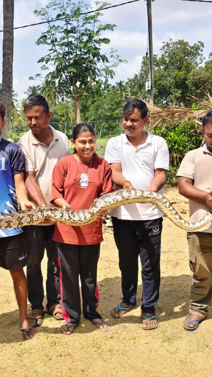 ಇಲ್ಲಿ ನೋಡಿ! 10 ಅಡಿ ಉದ್ದದ ಹೆಬ್ಬಾವು