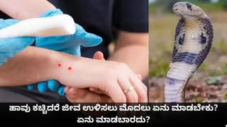 ಮನೆಯಲ್ಲೇ ಈಸಿಯಾಗಿ ತಯಾರಿಸಬಹುದು ವೈರಲ್‌ ಮೆಲೋಡಿ ಚಾಕೊಲೇಟ್‌; ಇಲ್ಲಿದೆ ರೆಸಿಪಿ