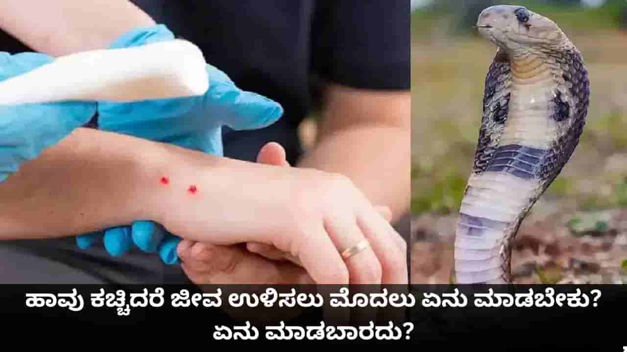ಹಾವು ಕಚ್ಚಿದರೆ ಜೀವ ಉಳಿಸಲು ಮೊದಲು ಏನು ಮಾಡಬೇಕು? ಏನು ಮಾಡಬಾರದು?