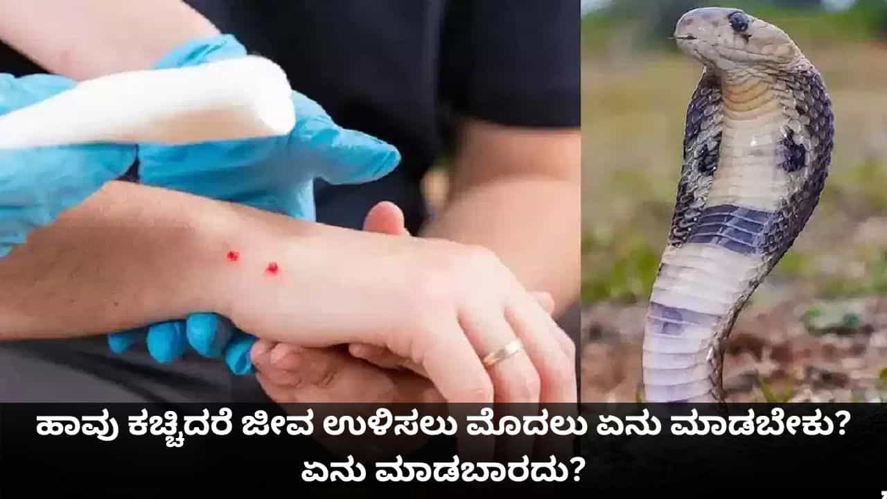 ಹಾವು ಕಚ್ಚಿದರೆ ಜೀವ ಉಳಿಸಲು ಮೊದಲು ಏನು ಮಾಡಬೇಕು? ಏನು ಮಾಡಬಾರದು?