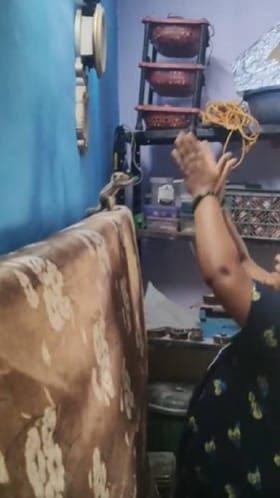 ಶ್ರೀರಾಮ ಭಜನೆ ಮಾಡಿದ ಅಳಿಲು