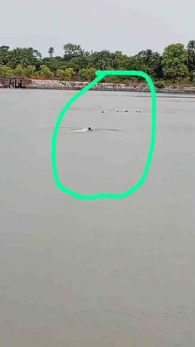 11 ಜನ ನೀರು ಪಾಲಾಗುತ್ತಿರುವ ವಿಡಿಯೋ