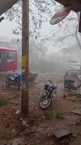 ಬೀರೂರು: ರಸ್ತೆಗೆ ಬಿದ್ದ ಬೃಹತ್ ಮರ, KSRTC ಬಸ್ ಜಸ್ಟ್ ಮಿಸ್