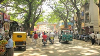 ಬೆಂಗಳೂರು: ಅಂಚೆ ಕಚೇರಿಗೆ ಬಂದ ಸ್ನಾಕ್ಸ್ ಬಾಕ್ಸ್‌ನಲ್ಲಿತ್ತು 3 ಕೋಟಿ ರೂ. ಮೌಲ್ಯದ ಹೈಡ್ರೋ ಗಾಂಜಾ!