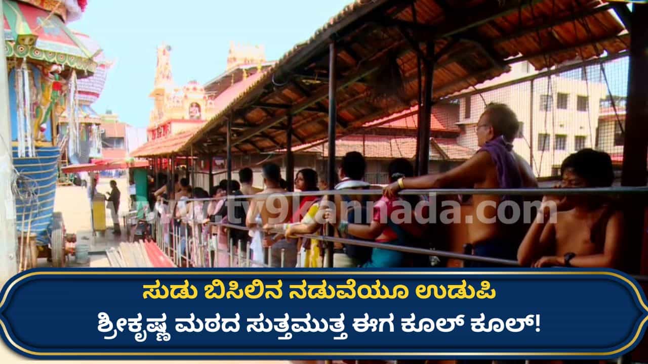 ಉಡುಪಿ ಶ್ರೀ ಕೃಷ್ಣ ಮಠದಲ್ಲಿ ಭಕ್ತರಿಗೆ ‘ಕೂಲ್’ ಅನುಭವ: ಉರಿಬಿಸಿಲಿನ ನಡುವೆ ನೆರಳಿನ ಆಸರೆ ನೀಡಿದ ಪರ್ಯಾಯ ಶೀರೂರು ಮಠ ಉಡುಪಿ ಶ್ರೀ ಕೃಷ್ಣ ಮಠದಲ್ಲಿ ಭಕ್ತರಿಗೆ ‘ಕೂಲ್’ ಅನುಭವ: ಉರಿಬಿಸಿಲಿನ ನಡುವೆ ನೆರಳಿನ ಆಸರೆ ನೀಡಿದ ಪರ್ಯಾಯ ಶೀರೂರು ಮಠ