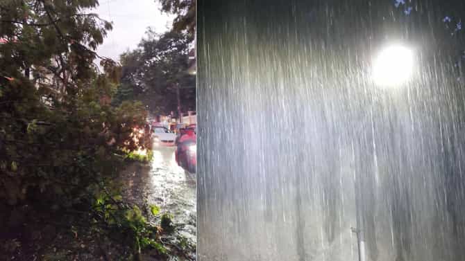 ಮರಗಳು ಧರೆಗೆ, ನೀರು ರಸ್ತೆಗೆ: ಬೆಂಗಳೂರಿನಲ್ಲಿ ಮಳೆಯ ಅವಾಂತರಗಳು ಒಂದೆರಡಲ್ಲ
