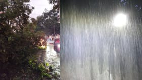 ಮರಗಳು ಧರೆಗೆ, ನೀರು ರಸ್ತೆಗೆ: ಬೆಂಗಳೂರಿನಲ್ಲಿ ಮಳೆಯ ಅವಾಂತರಗಳು ಒಂದೆರಡಲ್ಲ