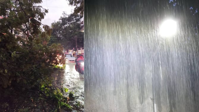 ಮರಗಳು ಧರೆಗೆ, ನೀರು ರಸ್ತೆಗೆ: ಬೆಂಗಳೂರಿನಲ್ಲಿ ಮಳೆಯ ಅವಾಂತರಗಳು ಒಂದೆರಡಲ್ಲ