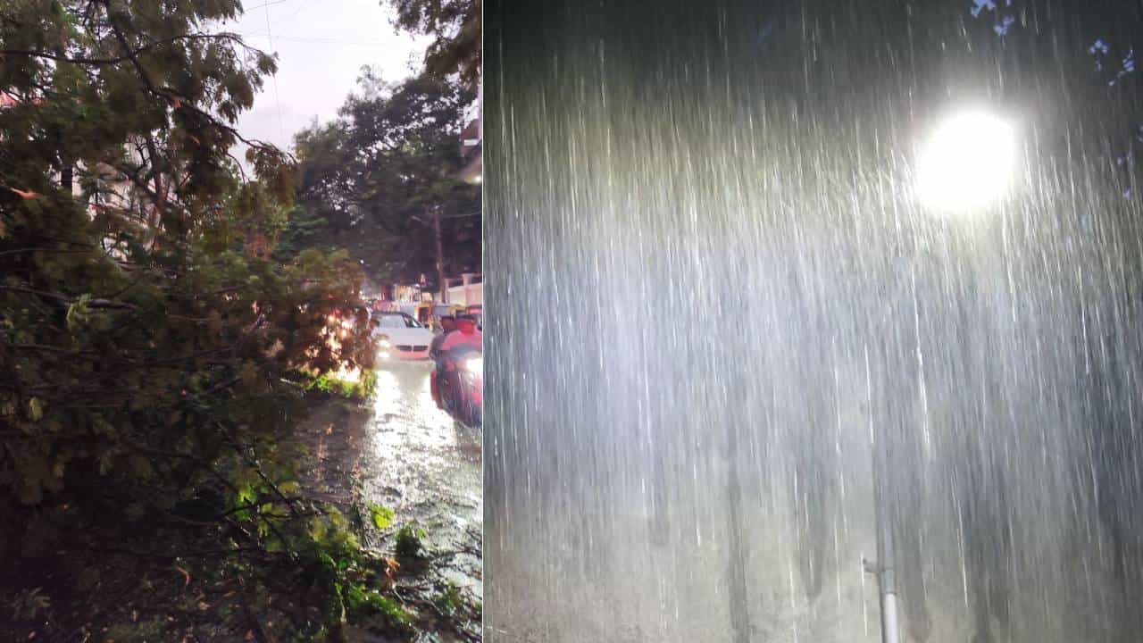 ಮರಗಳು ಧರೆಗೆ, ನೀರು ರಸ್ತೆಗೆ: ಬೆಂಗಳೂರಿನಲ್ಲಿ ಮಳೆಯ ಅವಾಂತರಗಳು ಒಂದೆರಡಲ್ಲ