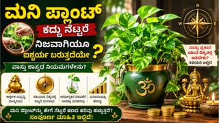 Daily Devotional: ಮಾಂಗಲ್ಯ ಸರದಲ್ಲಿ ಮುತ್ತು, ಹವಳ ಇರಲೇಬೇಕು ಯಾಕೆ ಗೊತ್ತಾ? ಜ್ಯೋತಿಷ್ಯ ಸಲಹೆ ಇಲ್ಲಿದೆ