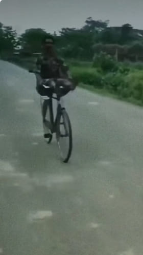 ಸೈಕಲ್​ನಲ್ಲಿ ಸ್ಟಂಟ್​​ ಮಾಡಲು ಹೋಗಿ ಆಗಿದ್ದೇನು ನೋಡಿ