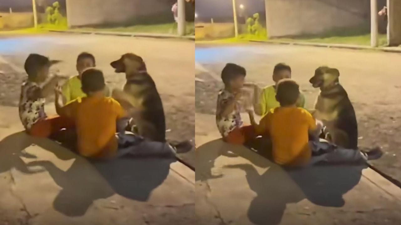 Three children playing joyfully with a stray dog on a roadside