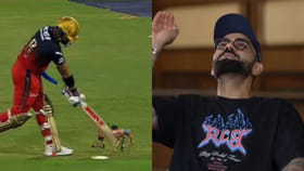 ಬಿಸಿಸಿಐನ ರೋಬೋ ಶ್ವಾನ ಚಂಪಕ್ ಮೇಲೆ ಕೊಹ್ಲಿ ಅಸಮಾಧಾನ