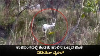 ಡೆಲ್ಲಿ ಡೇರ್​​ಡೆವಿಲ್ಸ್​​ಗಿತ್ತು ವೈಭವ್ ಸೂರ್ಯವಂಶಿ ಪಡೆಯೋ ಅವಕಾಶ